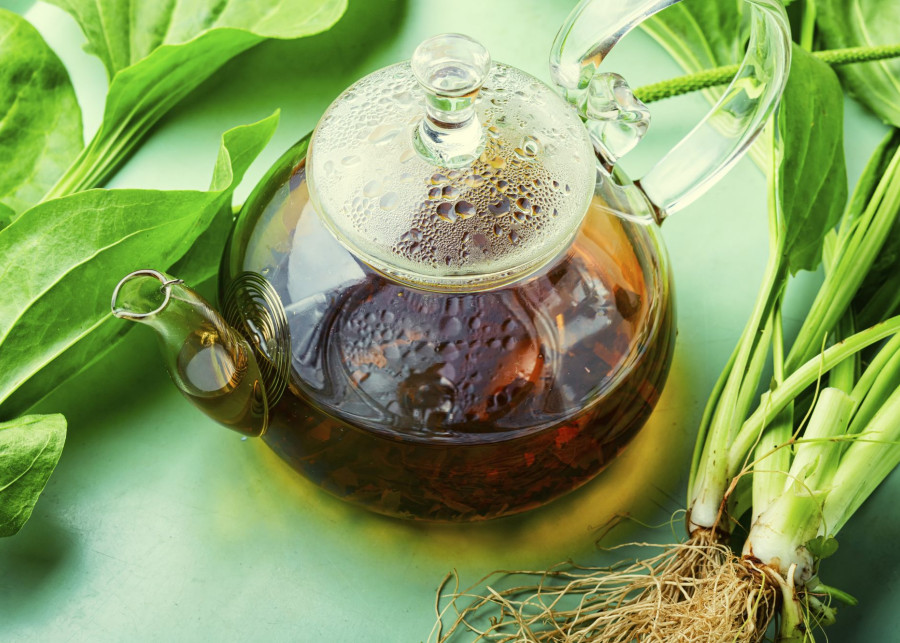 Herbata - napar z babki lancetowatej fot. Nikolay_Donetsk - Depositphotos