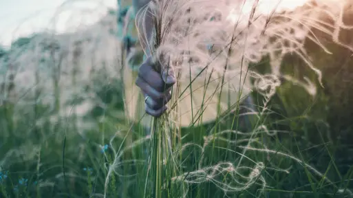 Od kitki po warkocz | Kreatywne sposoby na wiązanie traw ozdobnych i ochronę przed zimą