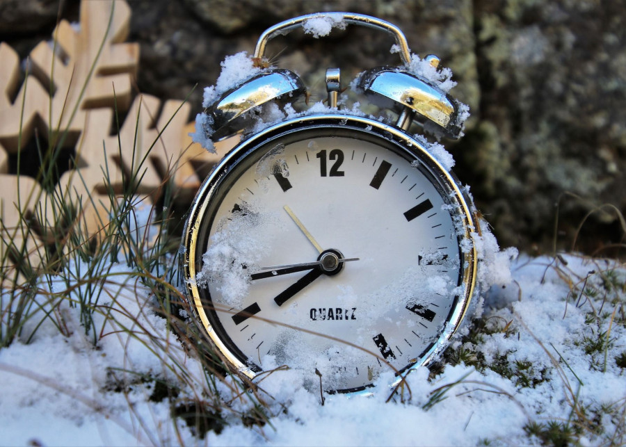 Zima w ogrodzie - co robić fot. pasja1000 - Pixabay