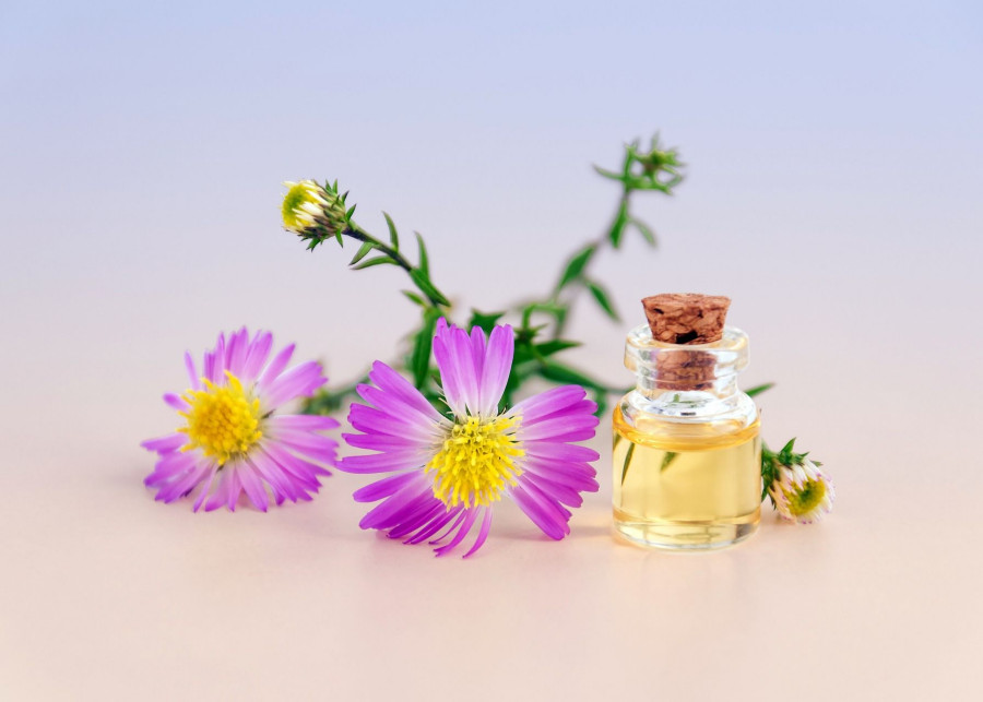 Olejki eteryczne w ochronie roślin fot. Mareefe - Pixabay