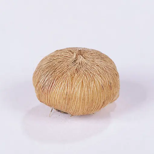 Iksja 