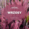 Jesienne sadzenie róż | Poradnik w 8 krokach