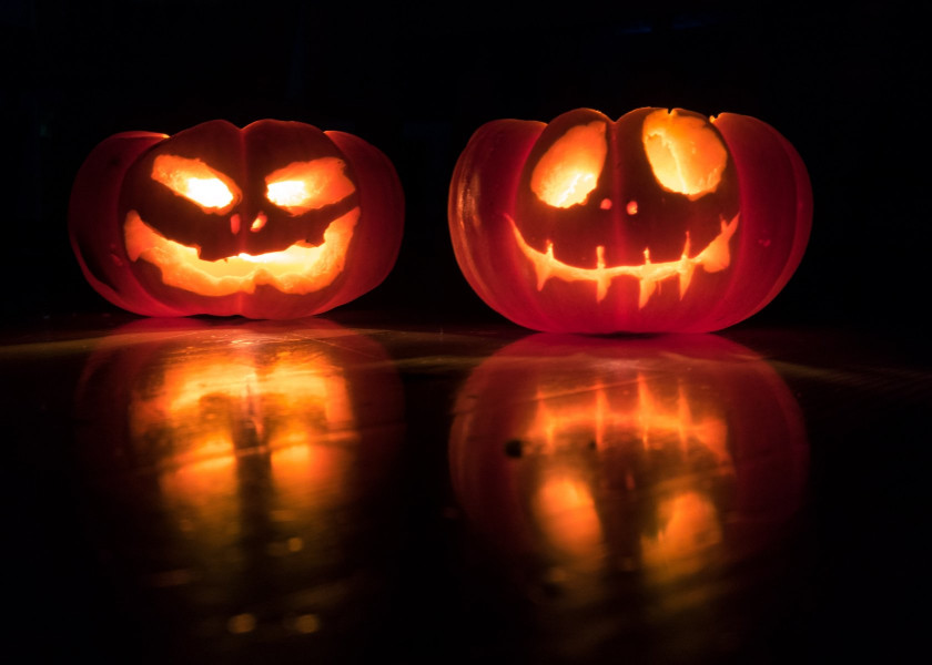 Pumpkin lantern Czyli galeria pomyslow na lampiony z dyn Pumpkin lantern Czyli galeria pomyslow na lampiony z dyn