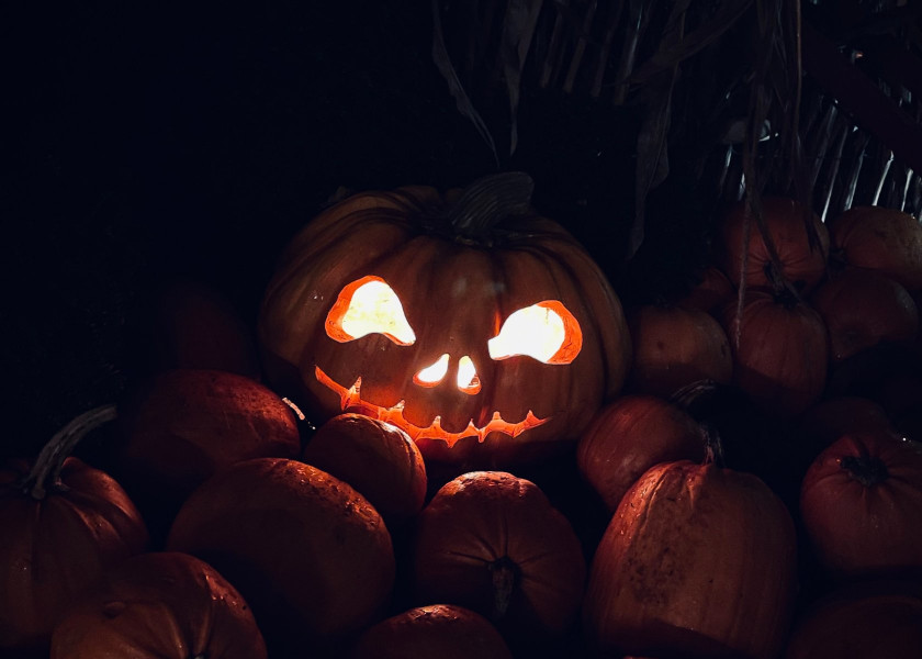 Pumpkin lantern Czyli galeria pomyslow na lampiony z dyn Pumpkin lantern Czyli galeria pomyslow na lampiony z dyn