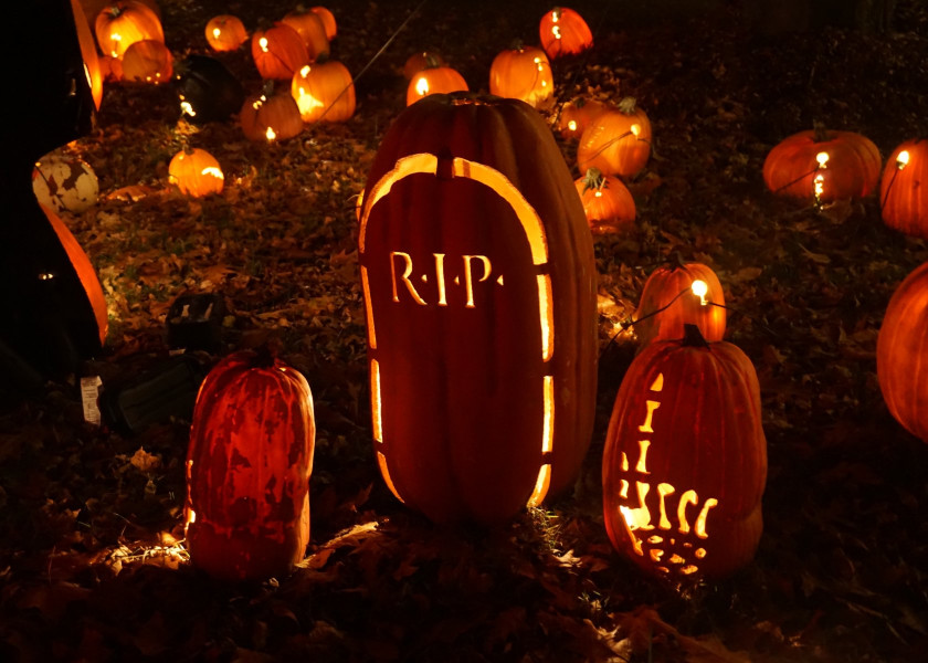 Pumpkin lantern Czyli galeria pomyslow na lampiony z dyn Pumpkin lantern Czyli galeria pomyslow na lampiony z dyn