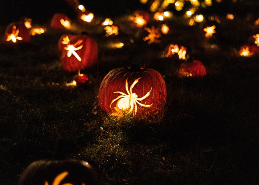 Pumpkin lantern Czyli galeria pomyslow na lampiony z dyn Pumpkin lantern Czyli galeria pomyslow na lampiony z dyn