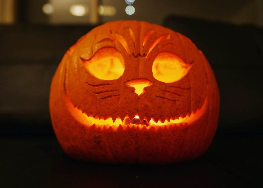 Pumpkin lantern Czyli galeria pomyslow na lampiony z dyn Pumpkin lantern Czyli galeria pomyslow na lampiony z dyn