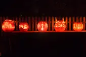 Pumpkin lantern Czyli galeria pomyslow na lampiony z dyn