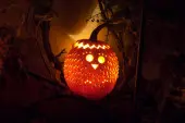 Pumpkin lantern Czyli galeria pomyslow na lampiony z dyn