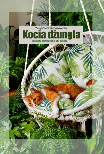 KOCIA DŻUNGLA Rośliny bezpieczne dla kotów