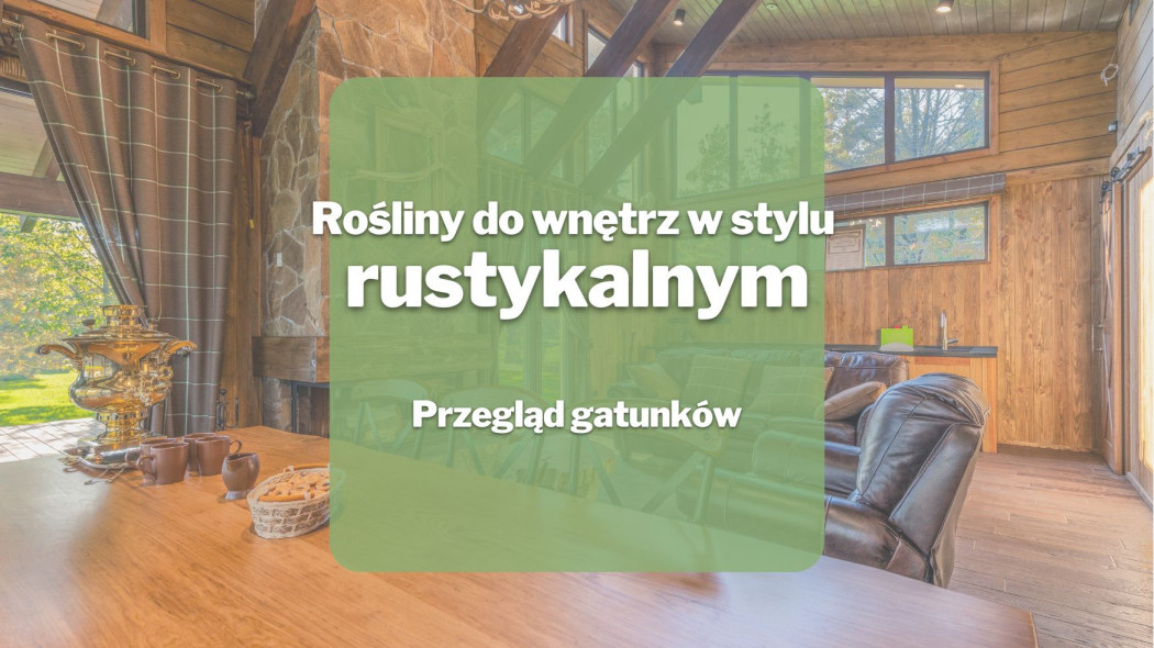 Rosliny do wnetrz w stylu rustykalnym_Przeglad gatunkow