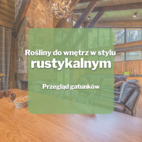 Rośliny do wnętrz w stylu rustykalnym | Przegląd gatunków
