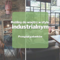 Rośliny do wnętrz w stylu industrialnym | Przegląd gatunków