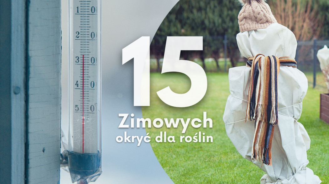 15 zimowych okryć dla roślin