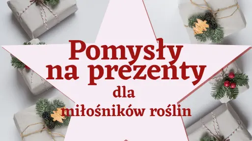 40+ oryginalnych prezentów pod choinkę dla miłośników roślin
