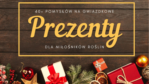 40+ oryginalnych prezentów pod choinkę dla miłośników roślin