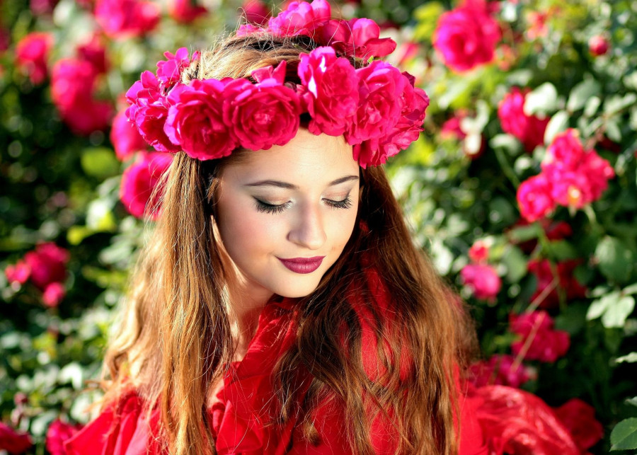 Róża królowa kwiatów fot. AdinaVoicu - Pixabay