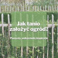 Jak tanio założyć ogród? | Pomysły, wskazówki, inspiracje