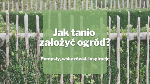 Jak tanio założyć ogród? | Pomysły, wskazówki, inspiracje