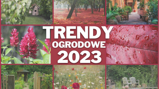 Trendy ogrodowe na 2023 rok | Sprawdź, co będzie na czasie! 