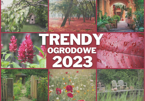 Trendy ogrodowe na 2023 rok | Sprawdź, co będzie...