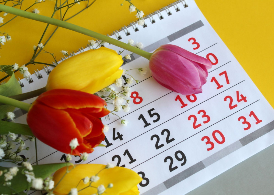 Kalendarz kwiatowy - znaki zodiaku