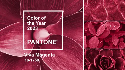 Pomysły na ogród w kolorze Viva Magenta | Inspiracje w kolorze Pantone 2023 roku