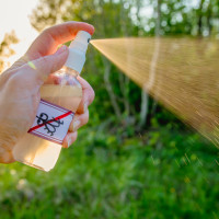 Naturalny spray na komary | Jak i z czego zrobić?