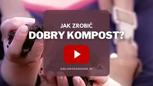 FILM: Jak zrobić dobry kompost?