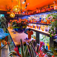 Rośliny domowe we wnętrzach | Inspiracje z Chelsea Flower Show 2022