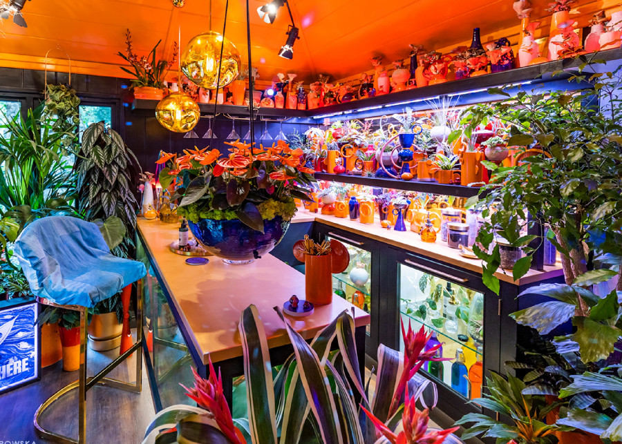 Rośliny domowe we wnętrzach - inspiracje z Chelsea Flower Show 2022 fot. Bożka Piotrowska
