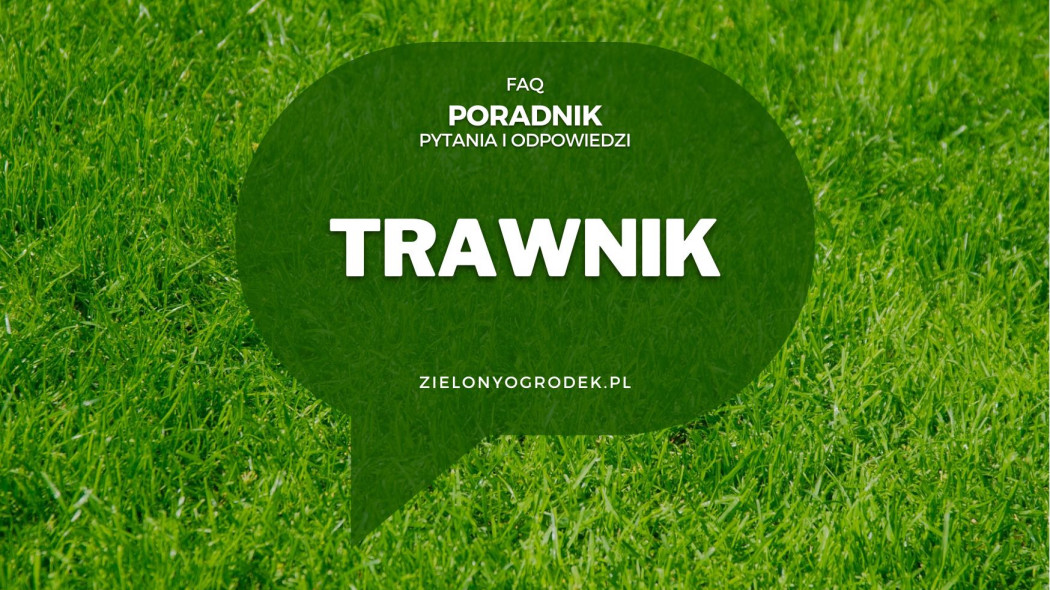 FAQ – najczęściej zadawane pytania na temat trawnika