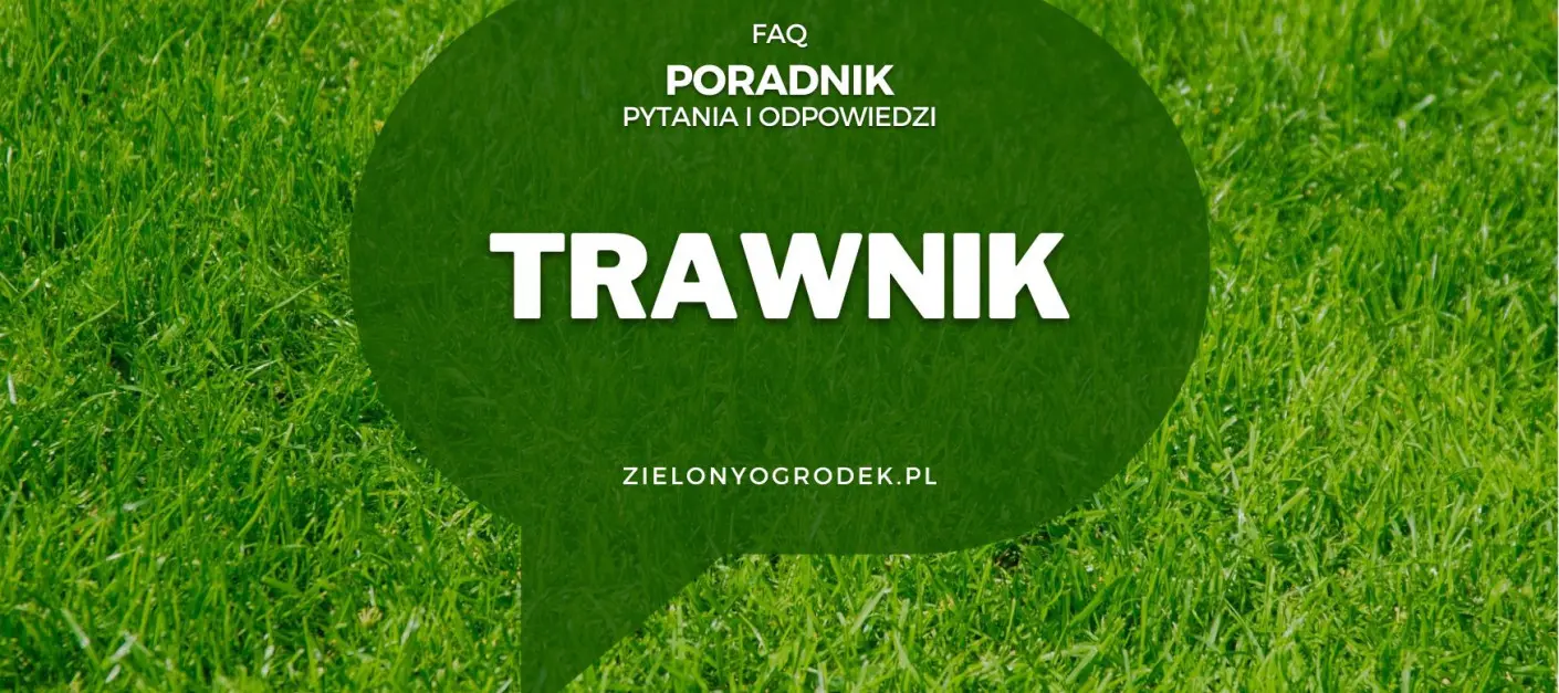 FAQ – najczęściej zadawane pytania na temat trawnika