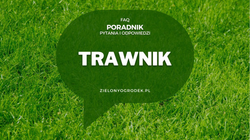 Trawnik od A do Z | Poradnik w pytaniach i odpowiedziach