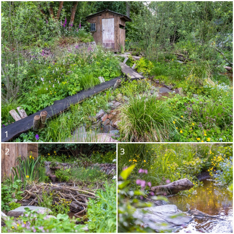 Złote ogrody z Chelsea Flower Show 2022 - A Rewilding Britain Landscape fot. Bożka Piotrowska