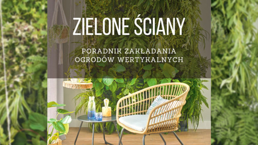 Zielone ściany | Poradnik zakładania i pielęgnacji ogrodów wertykalnych