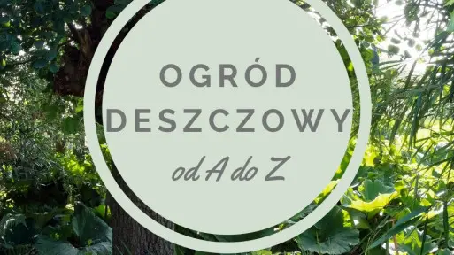 Ogród deszczowy – jak wykorzystać wodę opadową w ogrodzie?