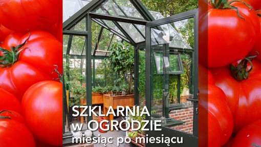 Szklarnia w ogrodzie miesiąc po miesiącu | Nowa książka Jörna Pinske