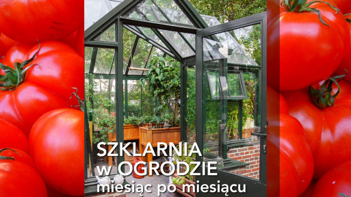 Szklarnia w ogrodzie miesiąc po miesiącu | Nowa książka Jörna Pinske