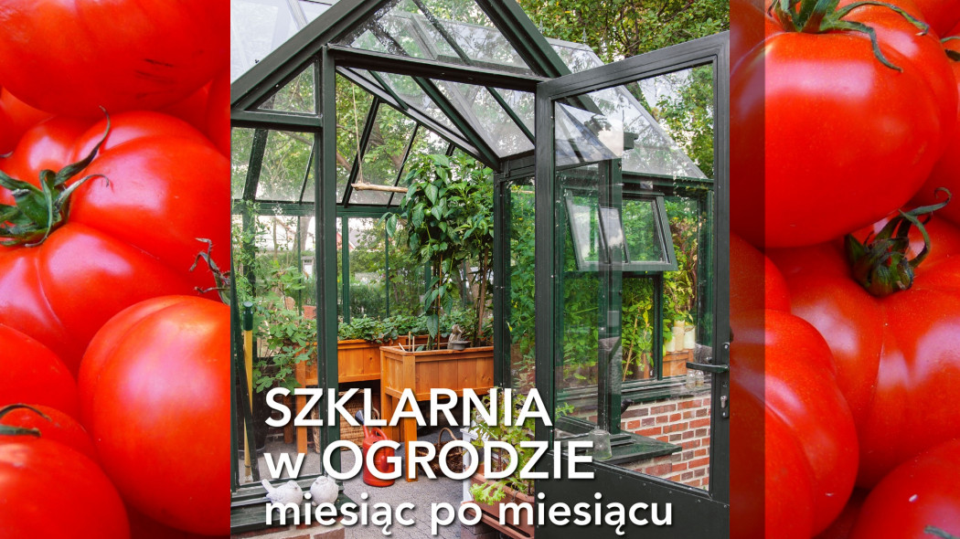 szklarnia w ogrodzie miesiąc po miesiącu - okładka