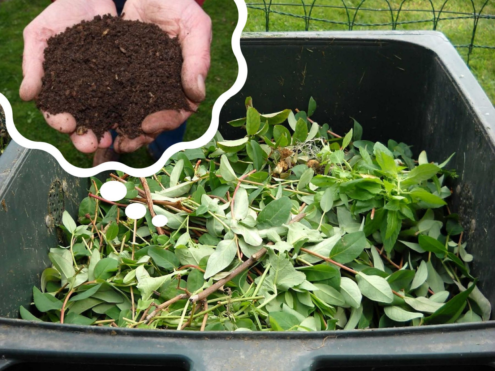 Jak gwałtownie przebiega proces kompostowania: 5 głównych czynników