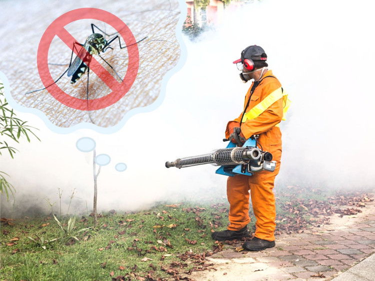 Opryski na komary: czy są szkodliwe?