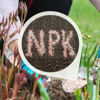 Kompleksowe nawożenie ogrodu | Wystarczy tylko 1 raz w sezonie!