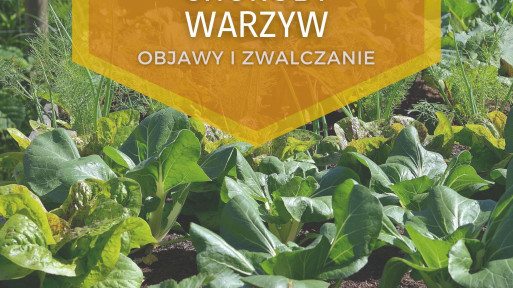 Choroby warzyw | Objawy i zwalczanie