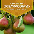 Choroby drzew owocowych | Objawy i zwalczanie