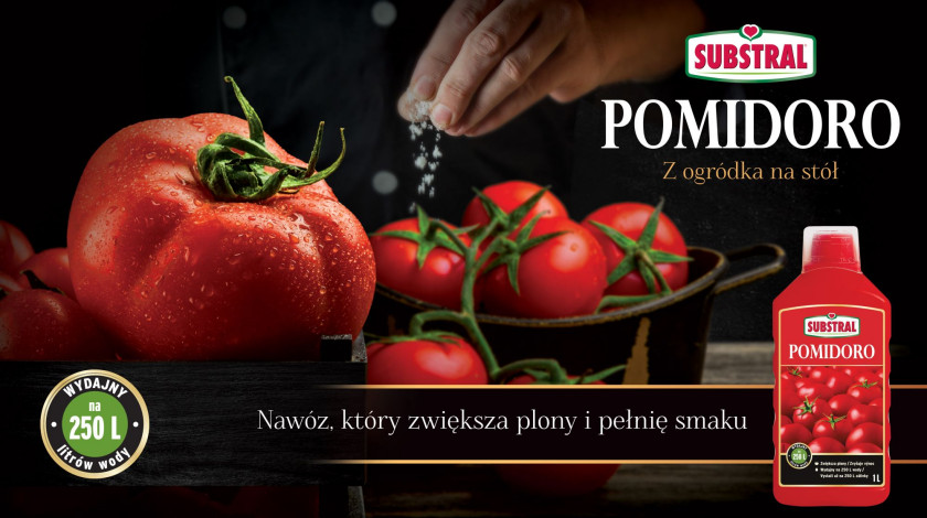 Nawóz do podlewania pomidorów