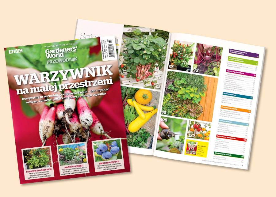 Warzywnik na małej przestrzeni – wydanie specjalne Gardeners` World Polska. Zajrzyj do środka!