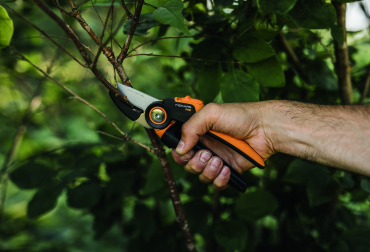 Jakie nożyczki i sekatory wybrać do ogrodu? Testujemy narzędzia do cięcia