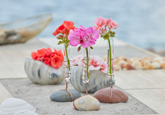 Kwiaty pelargonii w ozdobnych próbówkach –...