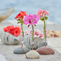 Kwiaty pelargonii w ozdobnych próbówkach – morski design! | Poradnik DIY